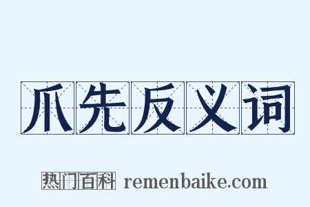 爪先反义词是什么意思的图片